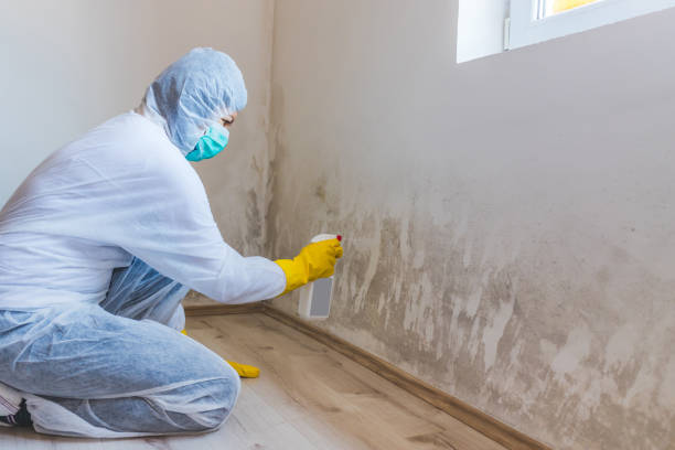 Bathroom Mold Removal assessment in Potomac bathroom